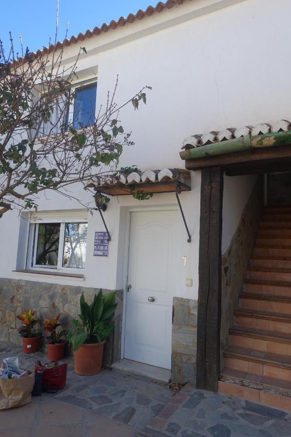 Galwey, Tourist Appartments With Wifi Малага Екстер'єр фото