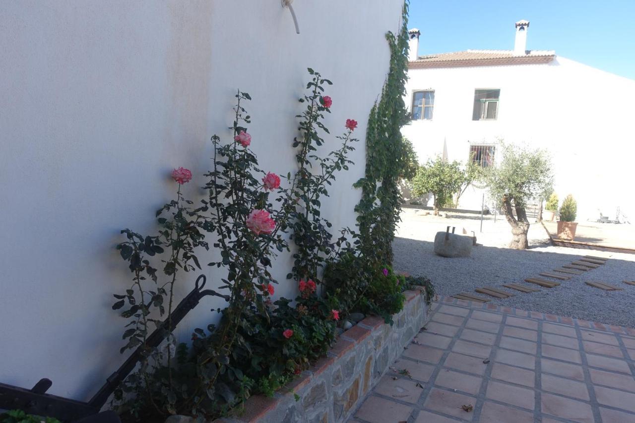 Galwey, Tourist Appartments With Wifi Малага Екстер'єр фото